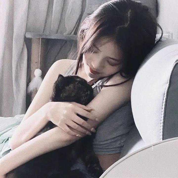 鬼猫